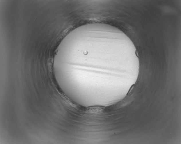 X0000076430576200611031842