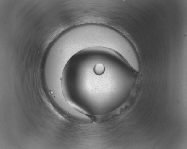 X0000076430581200611031842