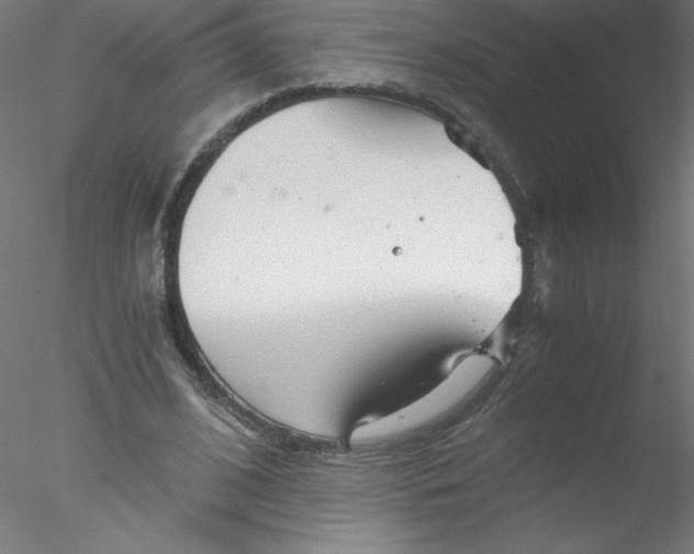 X0000076430584200611031842