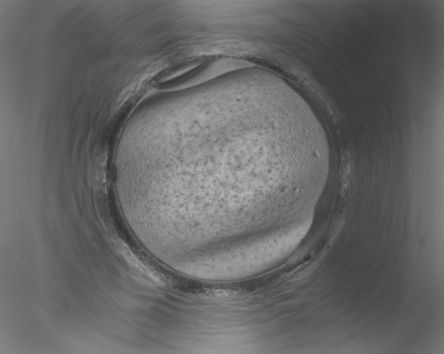 X0000076430585200611031842