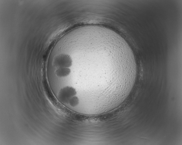 X0000076430586200611031841