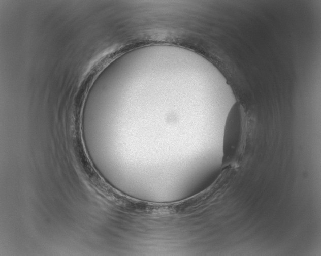 X0000076430587200611031841