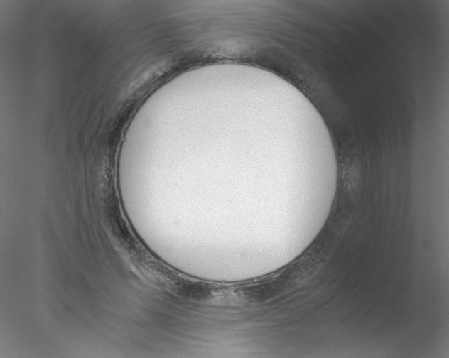 X0000076430591200611031841