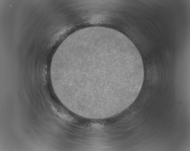 X0000076430592200611031841