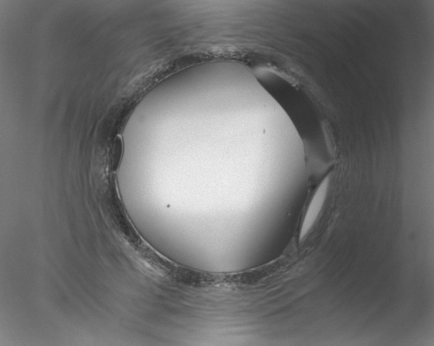 X0000076430593200611031841