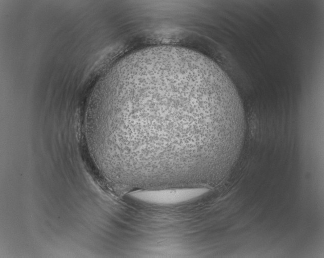 X0000076430594200611031841