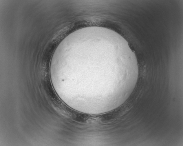 X0000076430599200611031841