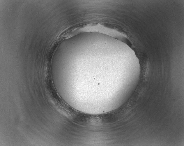 X0000076430600200611031841