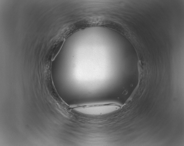 X0000076430601200611031841