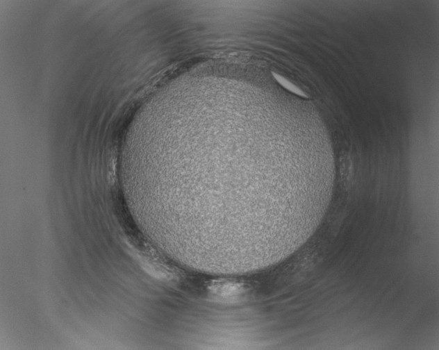 X0000076430602200611031841