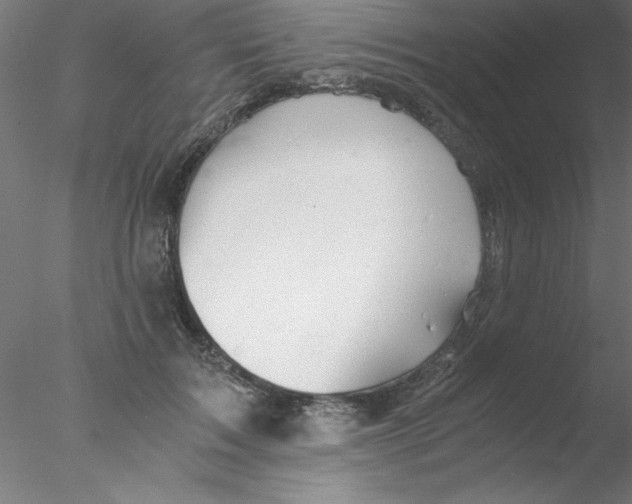 X0000076430603200611031841