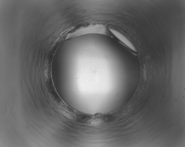 X0000076430604200611031841