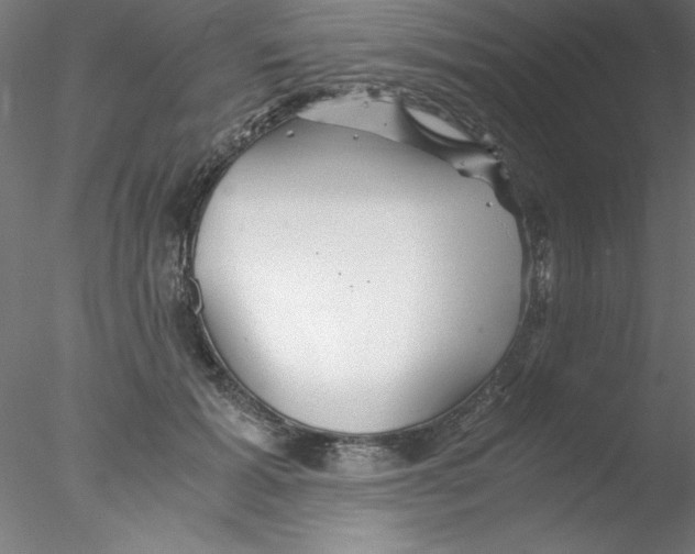 X0000076430605200611031841