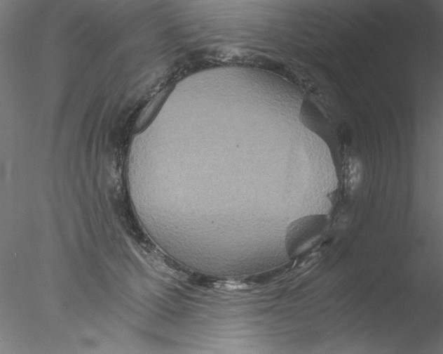 X0000076430607200611031841