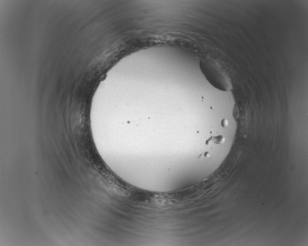 X0000076430608200611031841