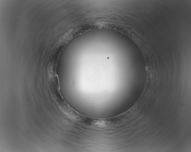 X0000076430611200611031841