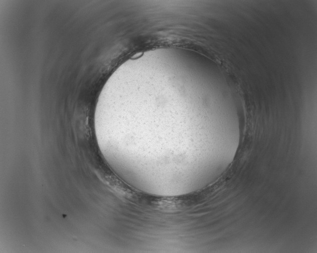 X0000076430615200611031841