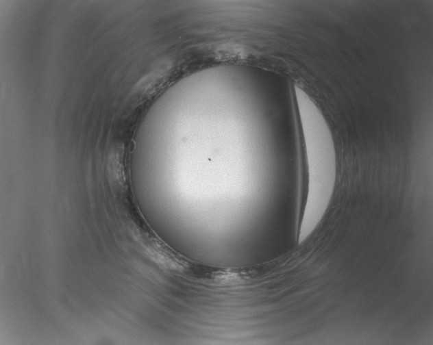 X0000076430616200611031841