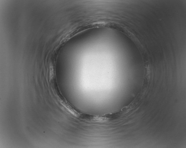 X0000076430617200611031841