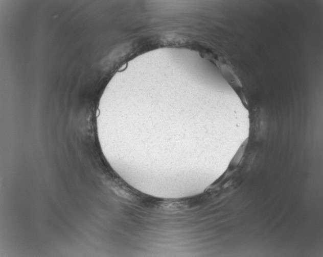 X0000076430619200611031841