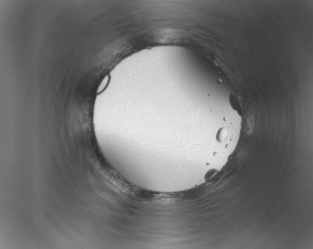 X0000076430620200611031841