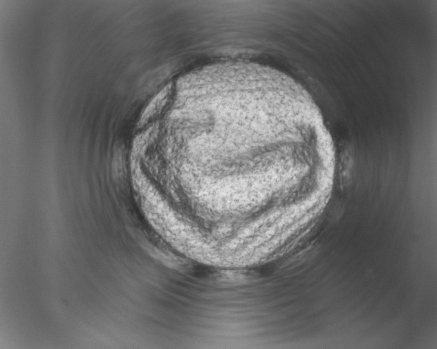 X0000076430623200611031841