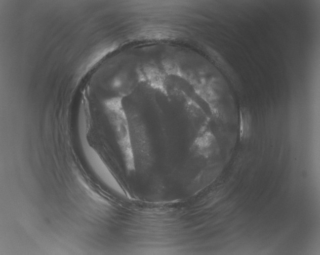 X0000076430627200611031840