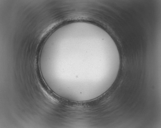 X0000076430629200611031840