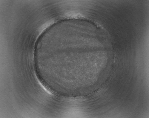 X0000076430630200611031840