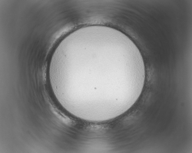 X0000076430632200611031840