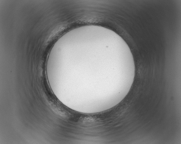 X0000076430635200611031840