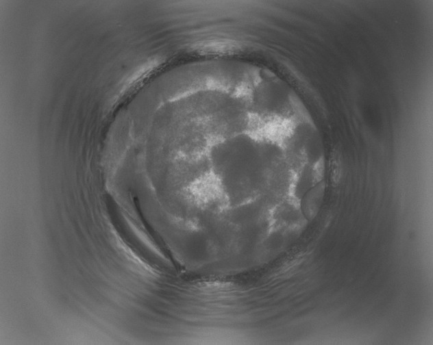 X0000076430637200611031840