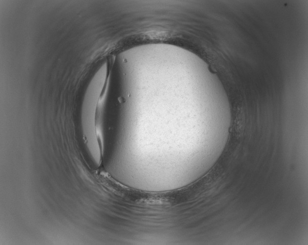 X0000076430639200611031840