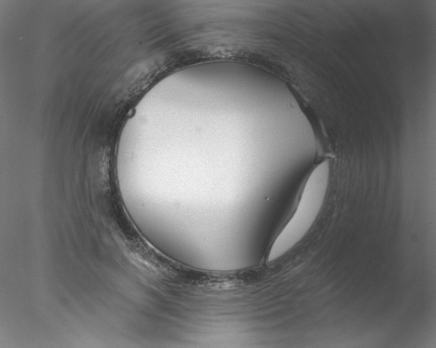 X0000076430646200611031840