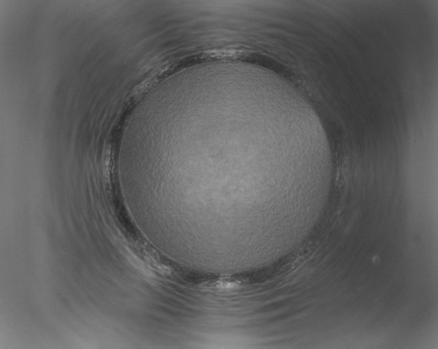 X0000076430647200611031840