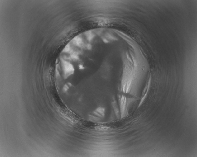 X0000076430650200611031840