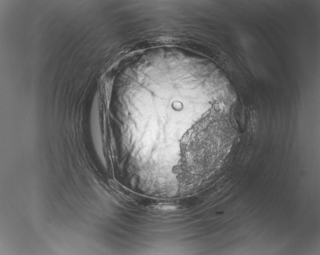 X0000076430651200611031840