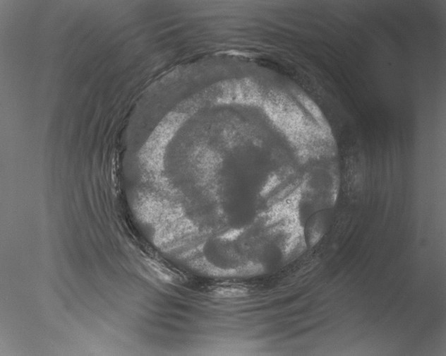 X0000076430653200611031841