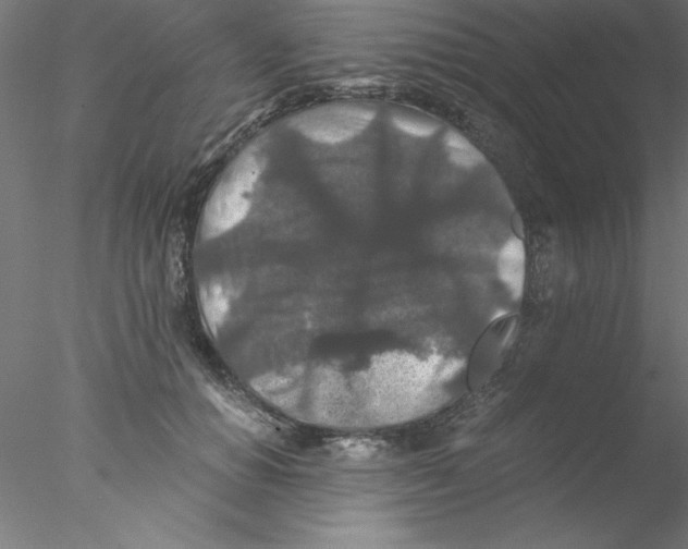 X0000076430654200611031841