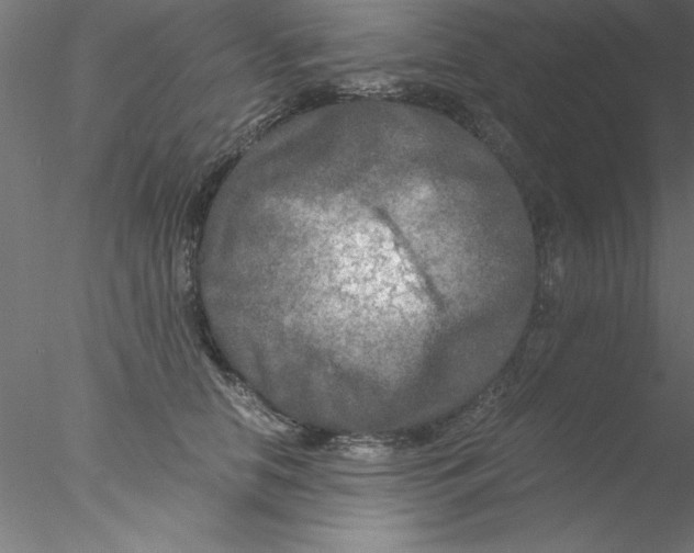 X0000076430658200611031841