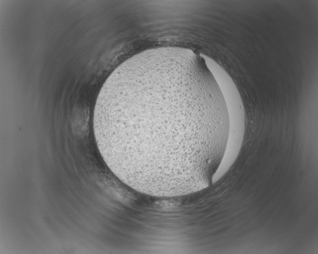 X0000076430660200611031841