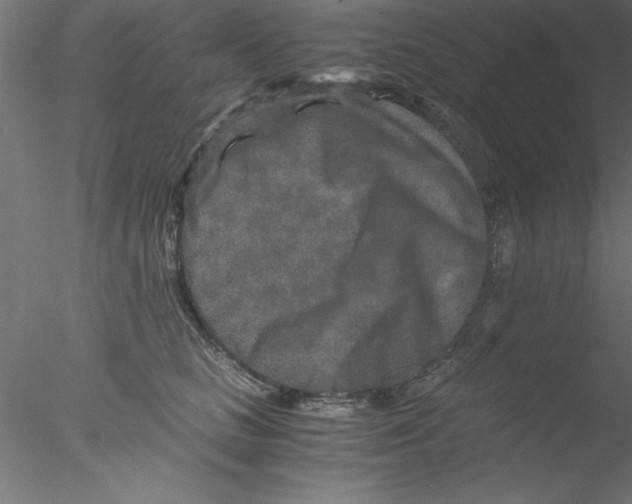 X0000076430661200611031841