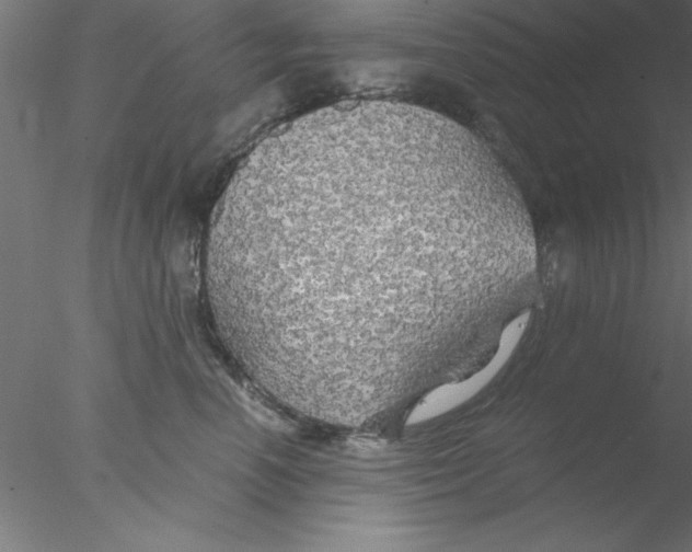 X0000076430666200611031841