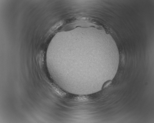 X0000076430668200611031841