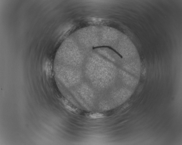 X0000076430669200611031841