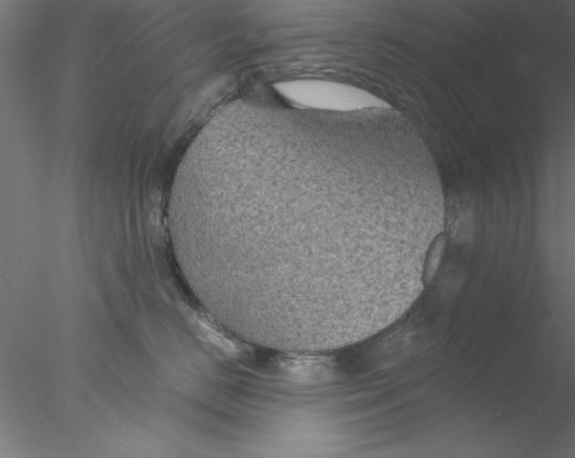 X0000076430670200611031841