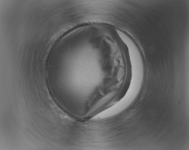 X0000076430673200611031840