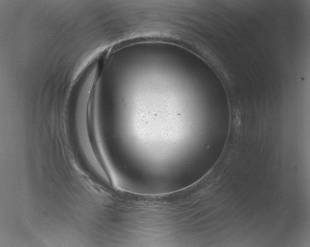 X0000076430676200611031840