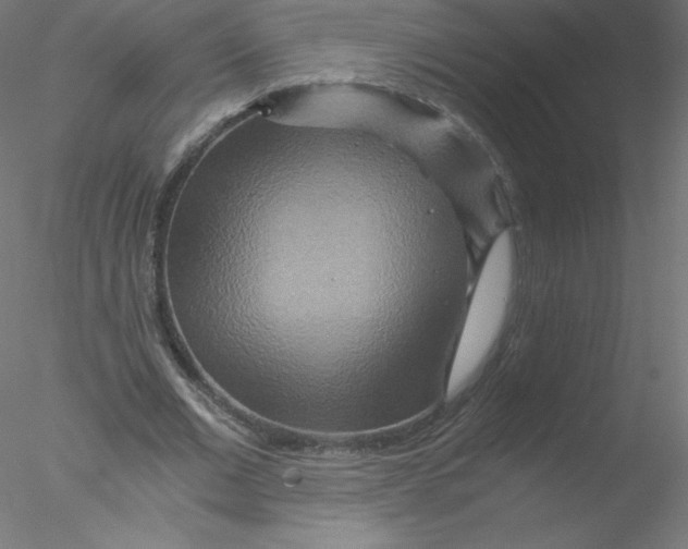 X0000076430677200611031840