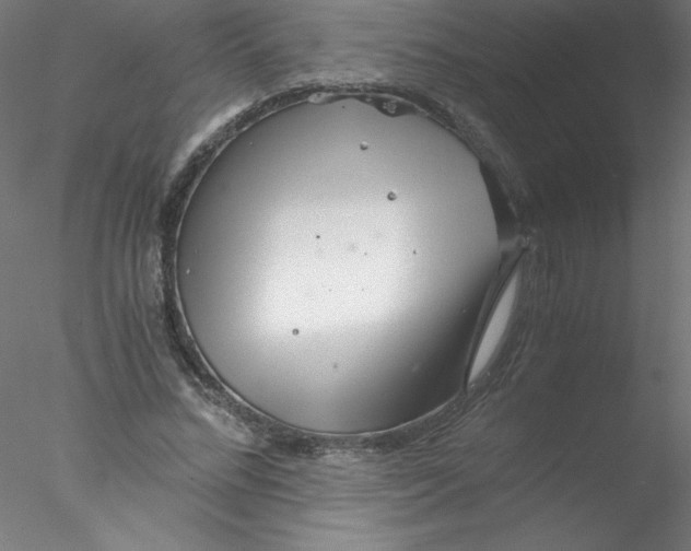 X0000076430684200611031840